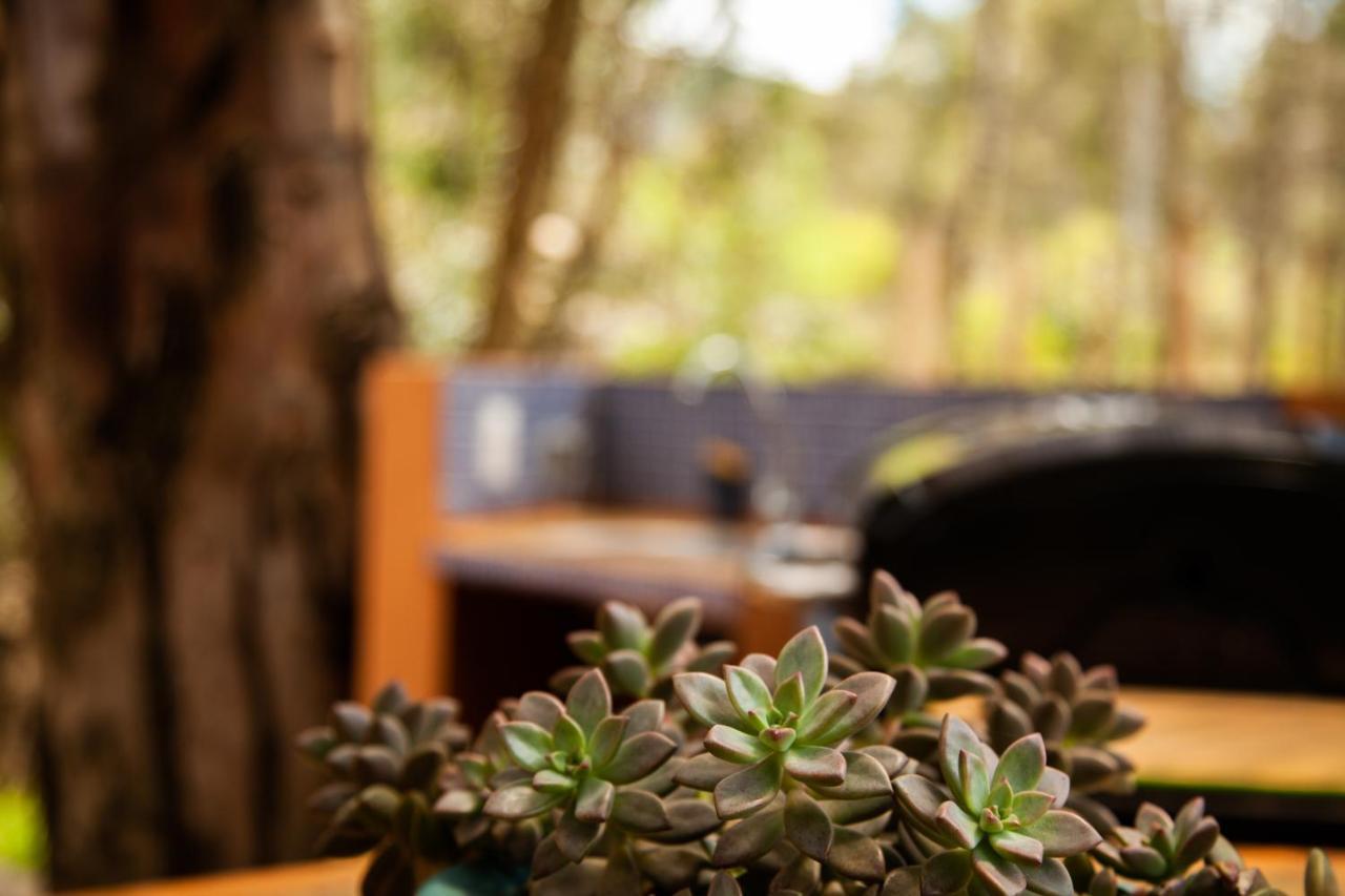 Clavellino House En Villa De Leyva - Tranquilidad Y Naturaleza En Reserva Natural Urbana! Villa de Leyva Exterior foto