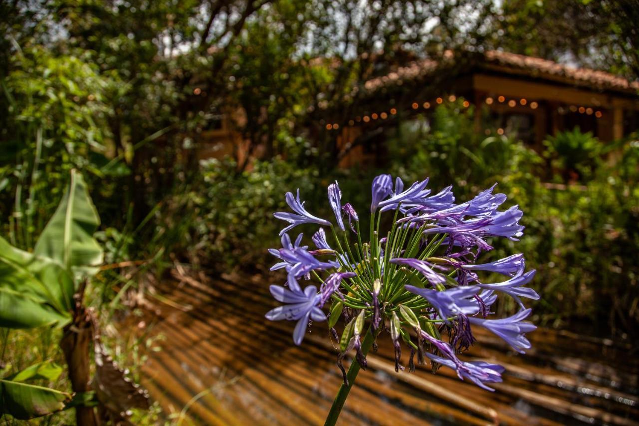 Clavellino House En Villa De Leyva - Tranquilidad Y Naturaleza En Reserva Natural Urbana! Villa de Leyva Exterior foto