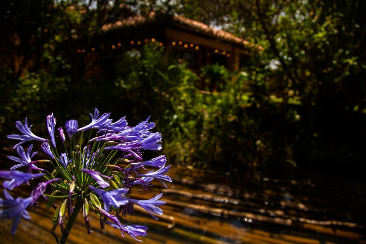 Clavellino House En Villa De Leyva - Tranquilidad Y Naturaleza En Reserva Natural Urbana! Villa de Leyva Exterior foto